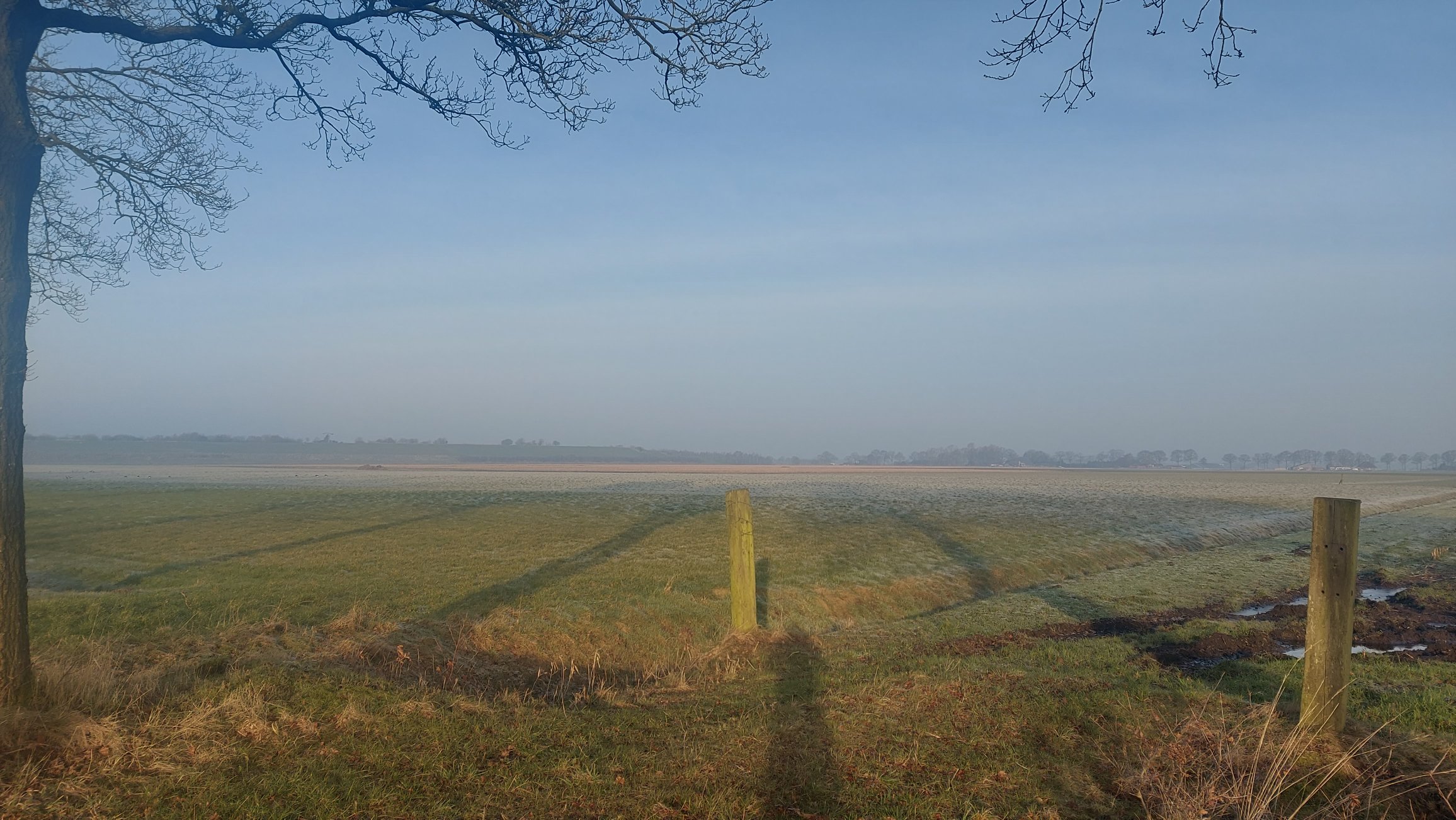 omgeving
